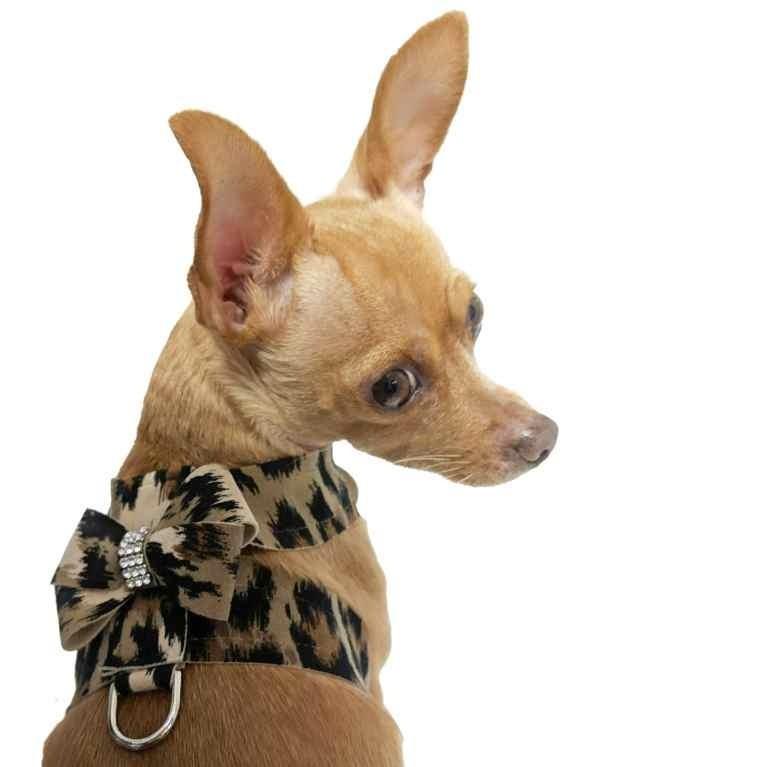 Dog Collar - Honeycomb - Pooch Luxury